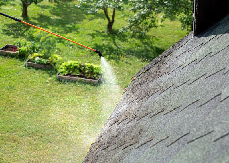 Preventive Roof Maintenance