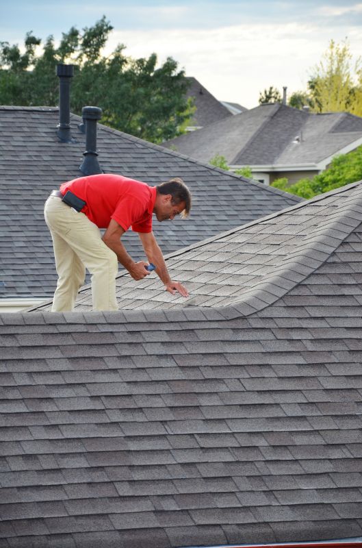 Roof Inspection During Spring